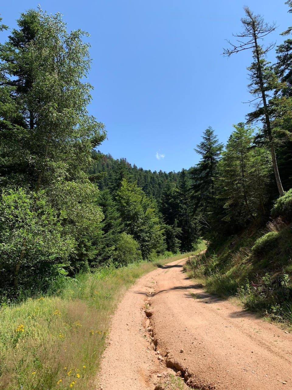 Comfortable house House in Auvergne-Rhône-Alpes