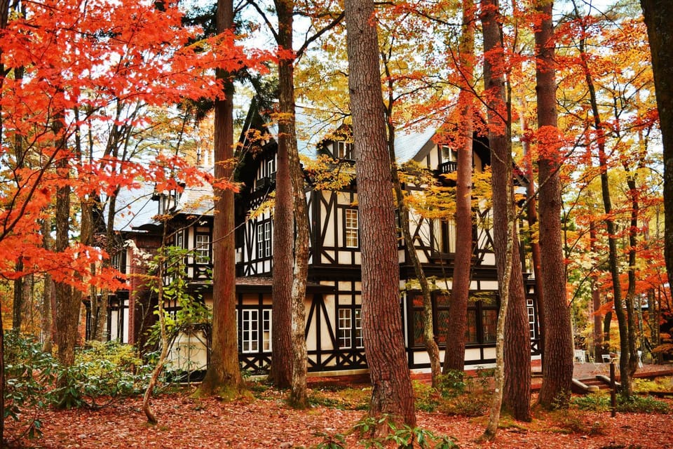 Property building, Garden, Garden view