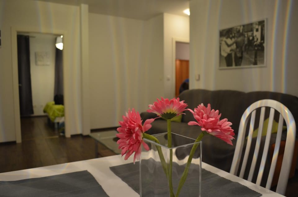 Apartment Meli Apartment in Slovenia