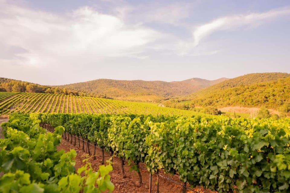 Lodge Grand Confort - Salle de bain italienne - Au coeur du Vignoble à 10 min de la Mer House in La Londe-les-Maures