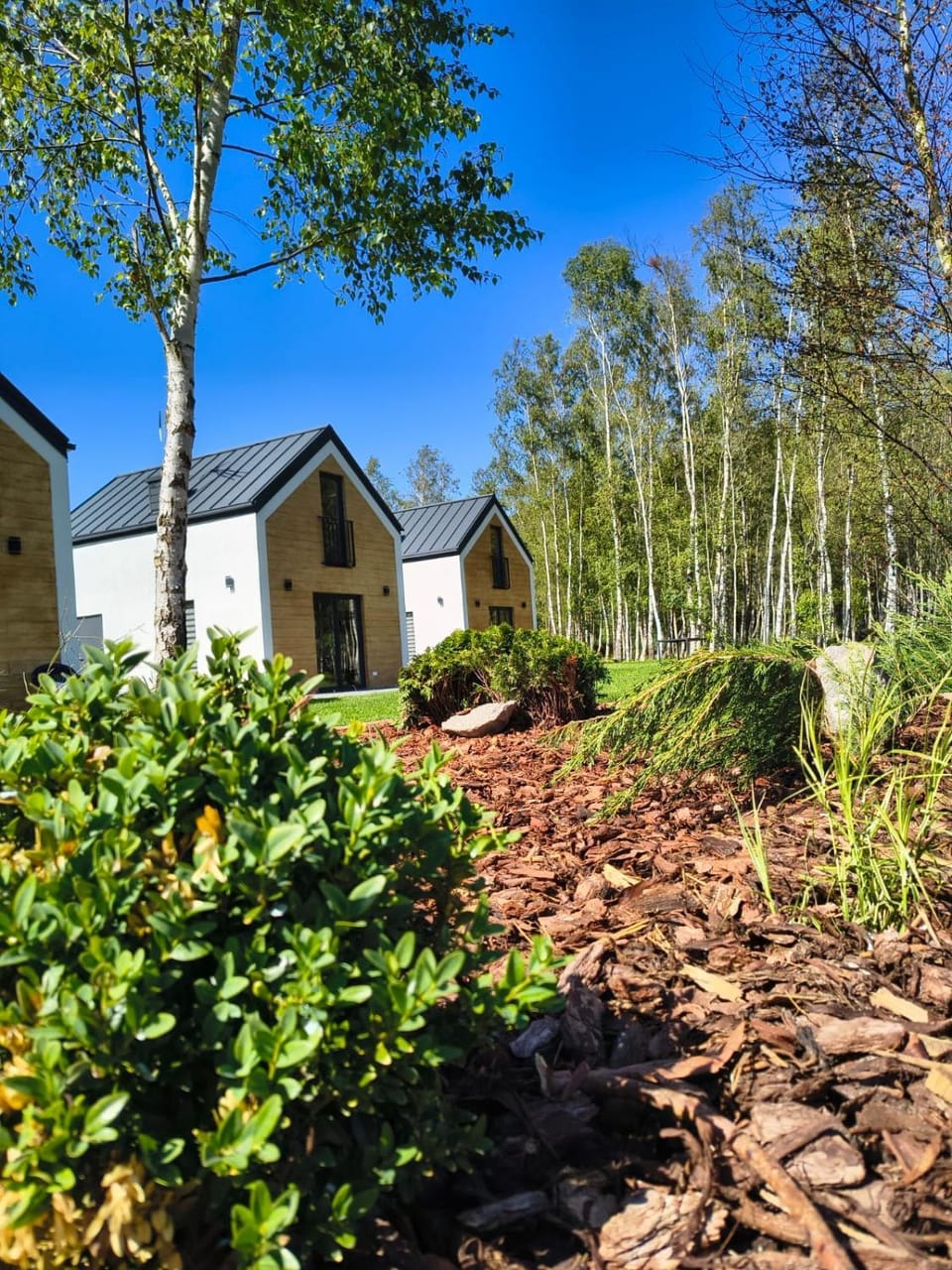 Brzozowy Zakątek House in Pomeranian Voivodeship