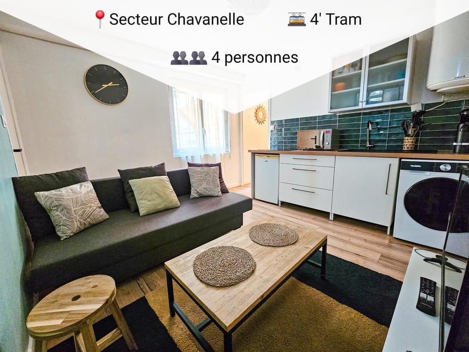 Le charmant T2 4 personnes WIFI Apartment in Saint-Étienne