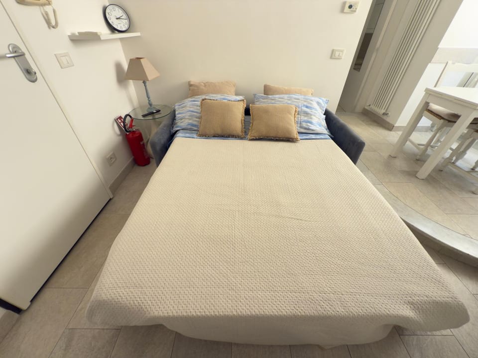 Bed, Living room, Photo of the whole room, Seating area