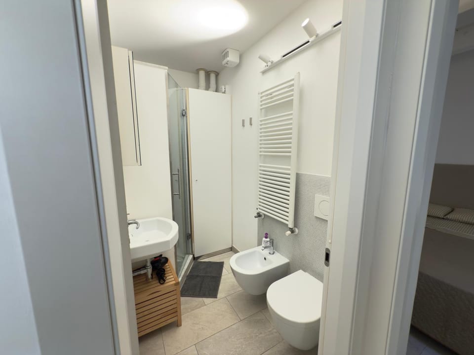 Shower, Toilet, Bathroom, bidet