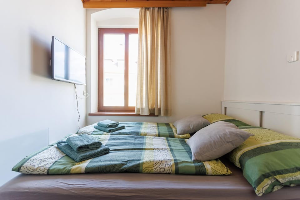 MiniZell - Small Cosy Central Apartment in Styria