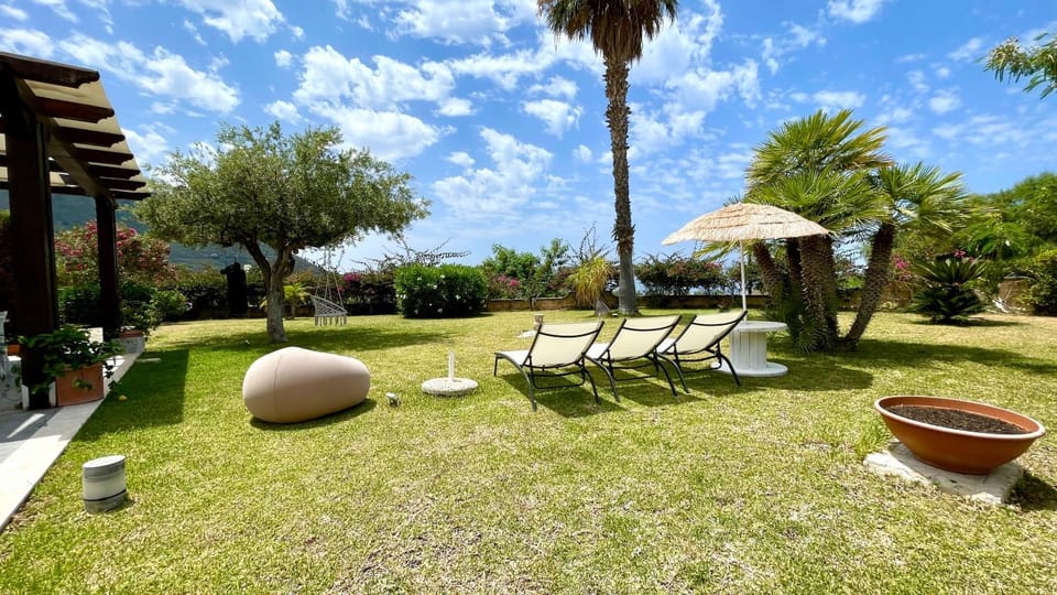 Patio, Spring, Day, Natural landscape, Garden, Garden, Balcony/Terrace, sunbed