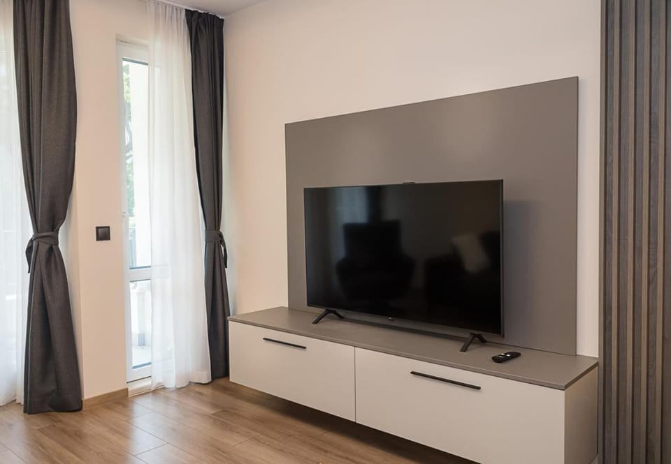 TV and multimedia