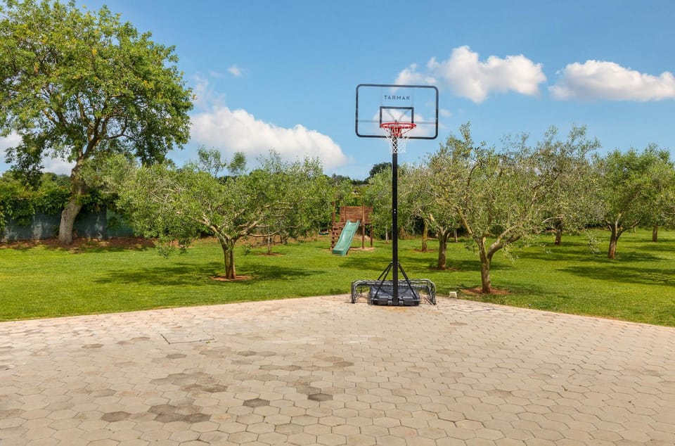 Patio, Garden, Garden view