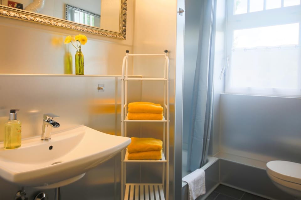 Shower, Toilet, Bathroom, towels