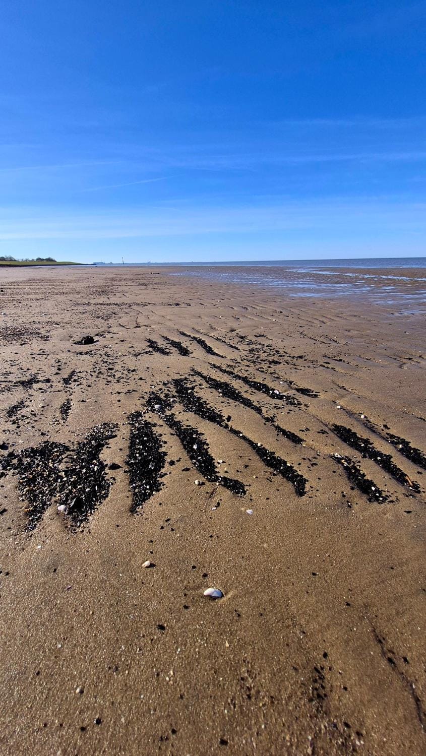 Natural landscape, Beach