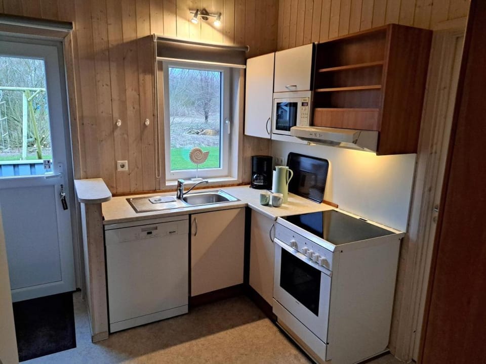 Kitchen or kitchenette, dishwasher, oven, stove