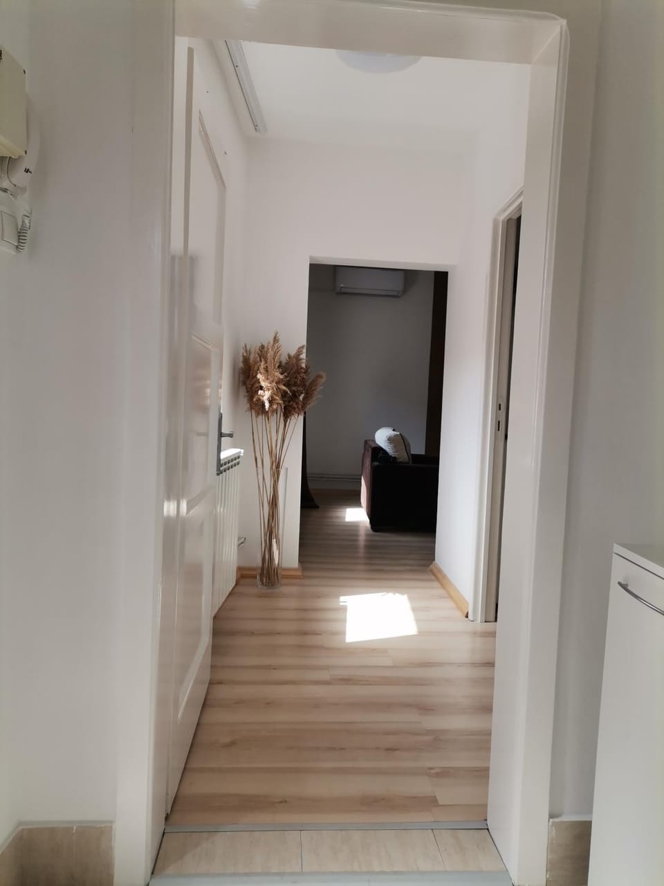 Urban Nest Apartment in Serbia