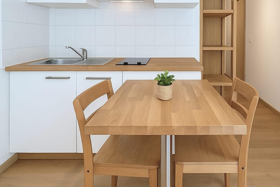 Functional and well located studio close to metro and shops Apartment in Lyon