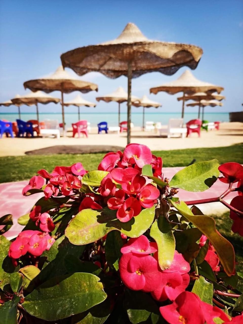 كذابلانكا بيتش Apartment hotel in Hurghada