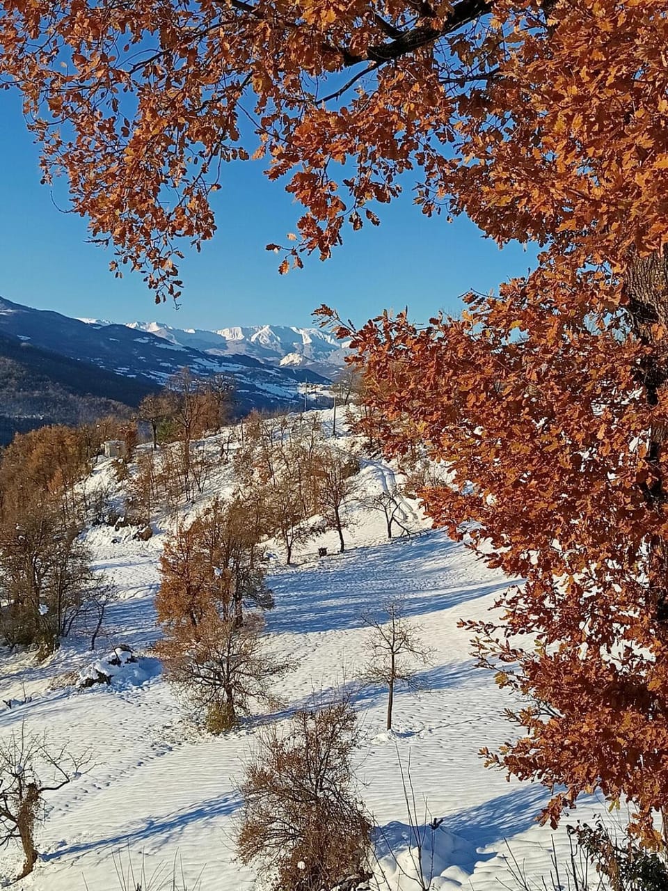 That's amore casa vacanze B&B Villa in Emilia-Romagna