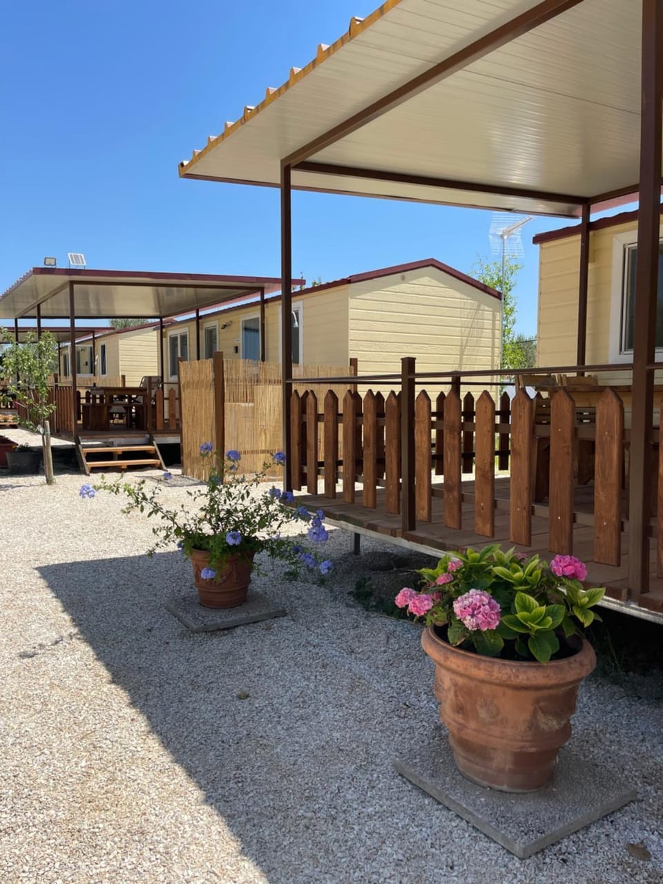 Property building, Garden, Garden view