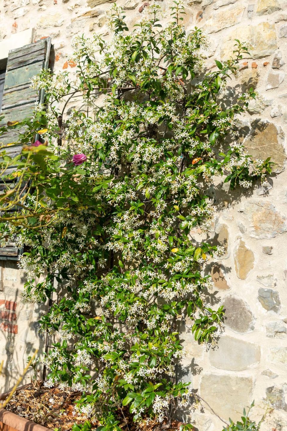 Cá Pradella - Harmony and Nature, Bed & Breakfast Bed and Breakfast in Emilia-Romagna