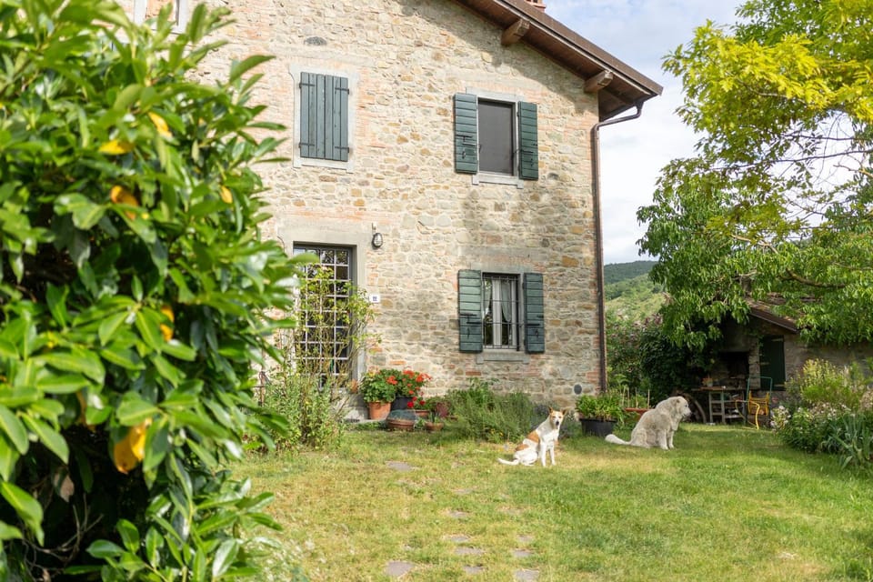 Cá Pradella - Harmony and Nature, Bed & Breakfast Bed and Breakfast in Emilia-Romagna