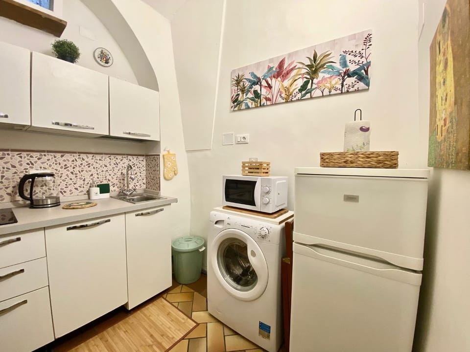 Kitchen or kitchenette, dishwasher, washing machine