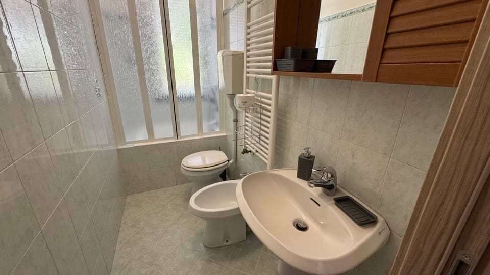 Shower, Toilet, Bathroom, bidet