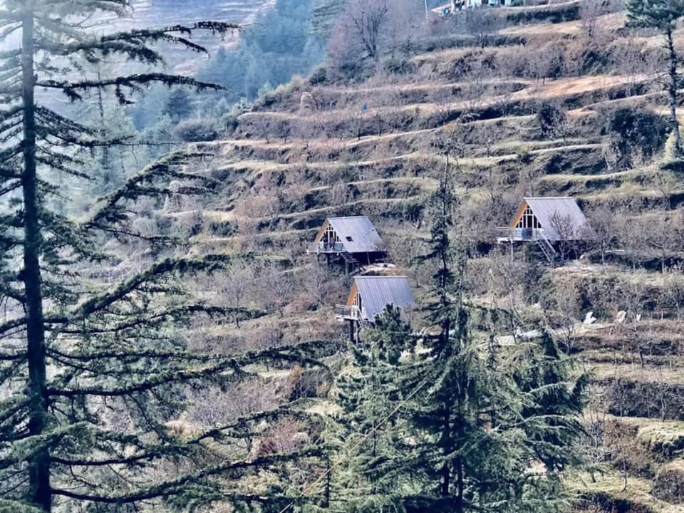 Natural landscape