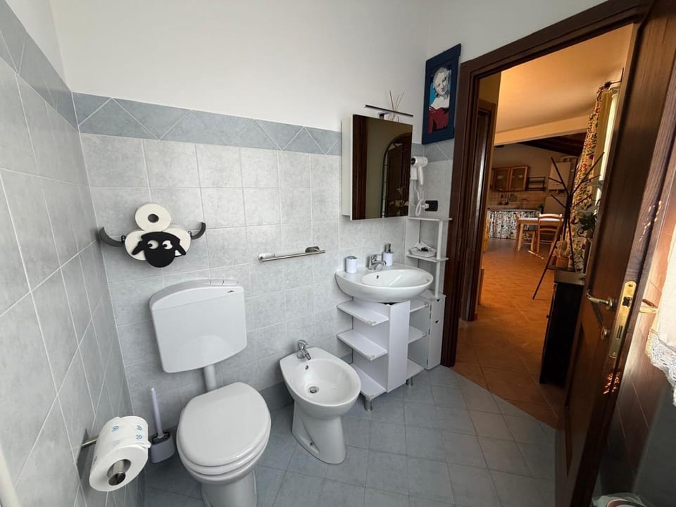 Toilet, Bathroom, bidet, hair dryier