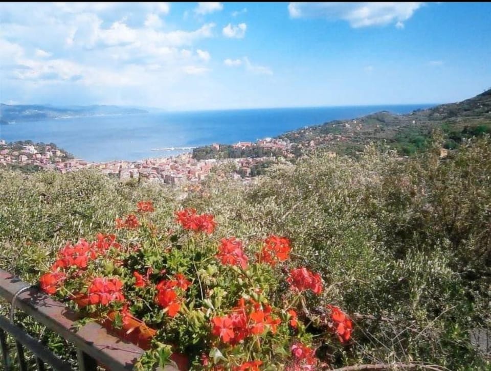 Agriturismo Portofino Bed and Breakfast in Santa Margherita Ligure