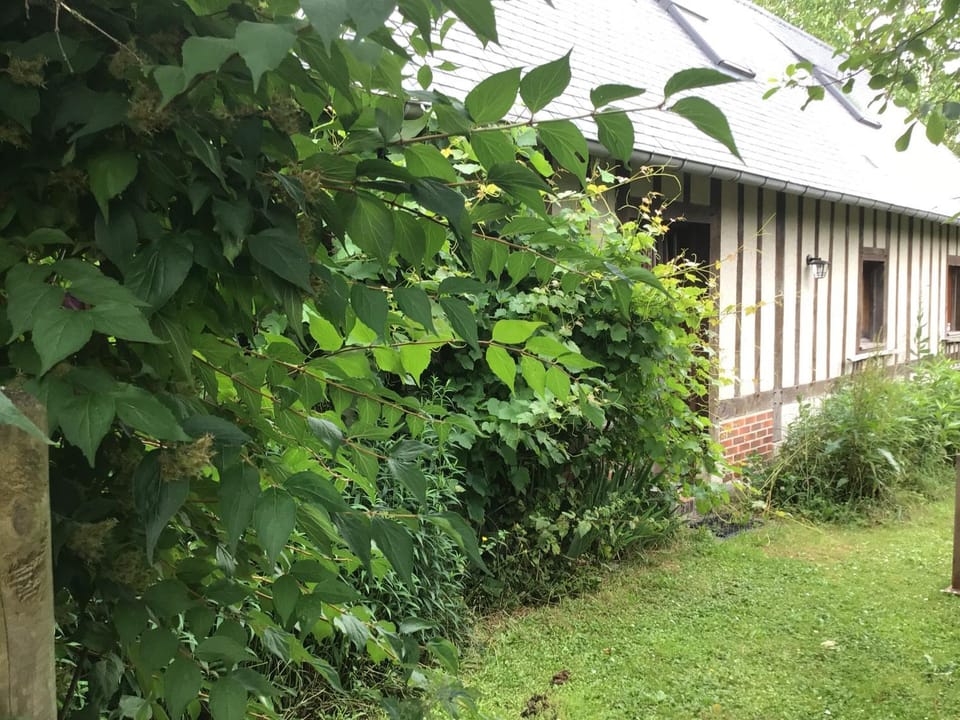 Gîte des Tournesols House in Normandy
