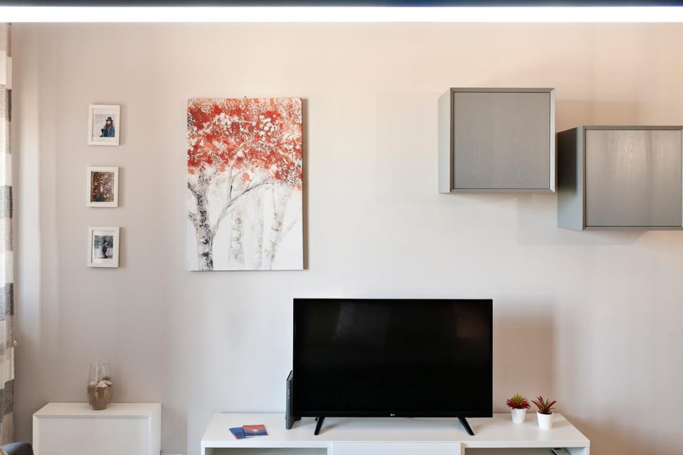 TV and multimedia