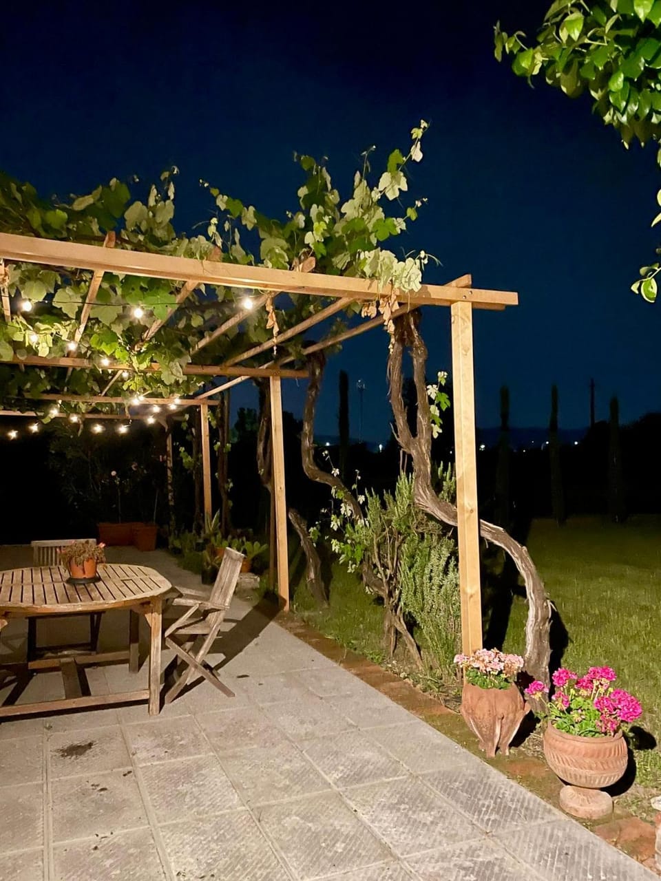 Patio, Night, Garden, Garden view