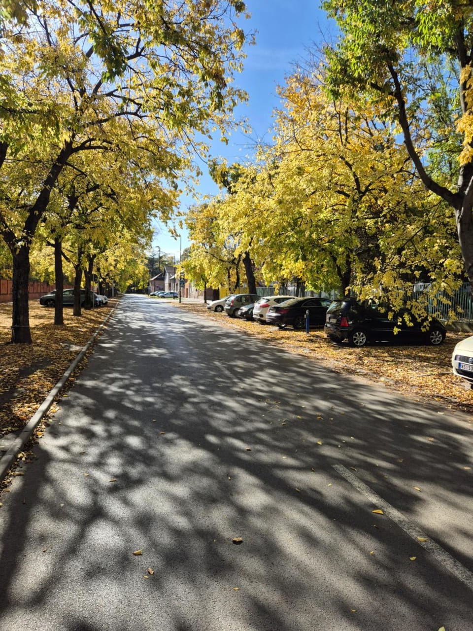 Apartment Capital Town NS Apartment in Novi Sad