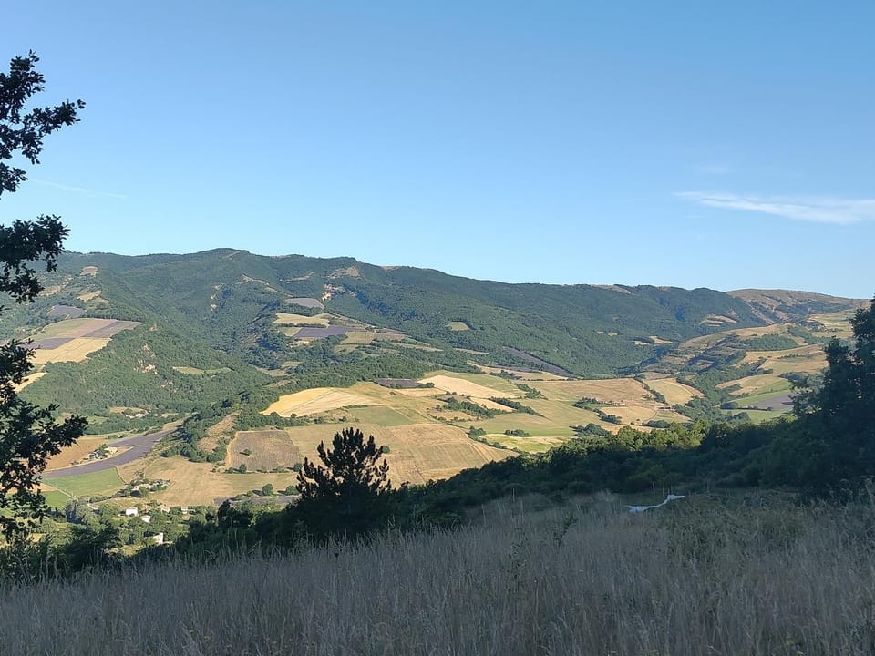 Mountain view