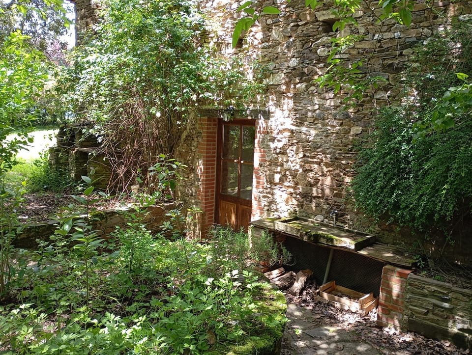 Maison d'hôtes la Passemarié Bed and Breakfast in Occitanie