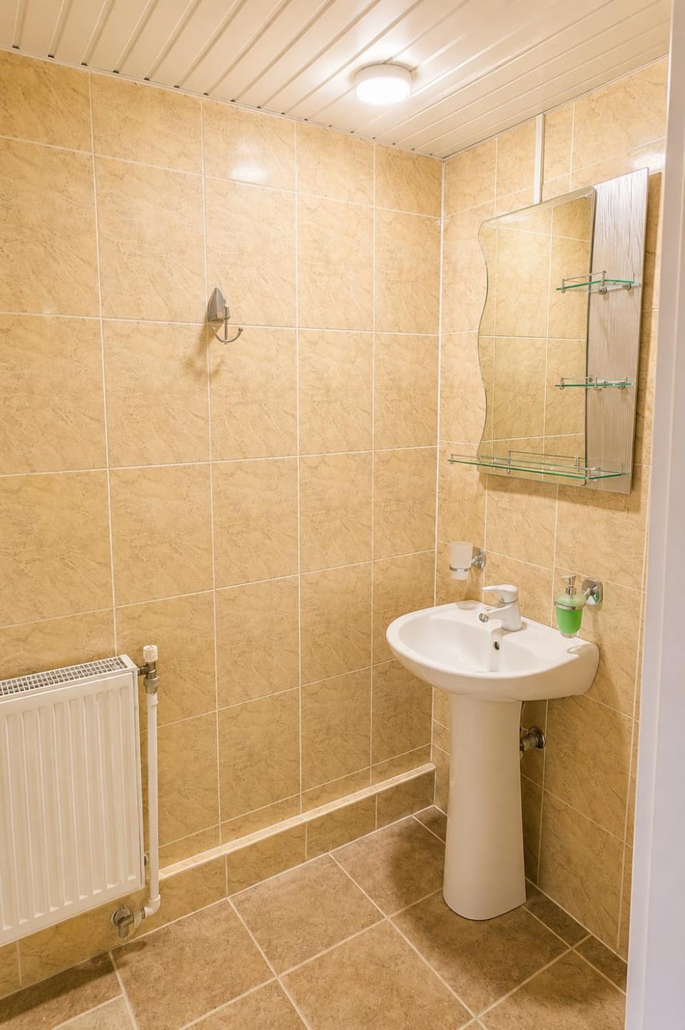 Shower, Toilet