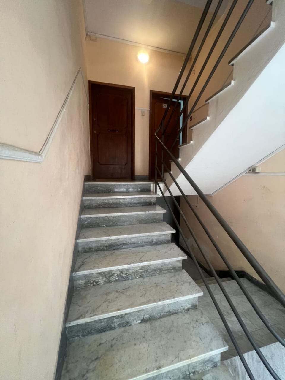 Domus Pisana Apartment in Pisa