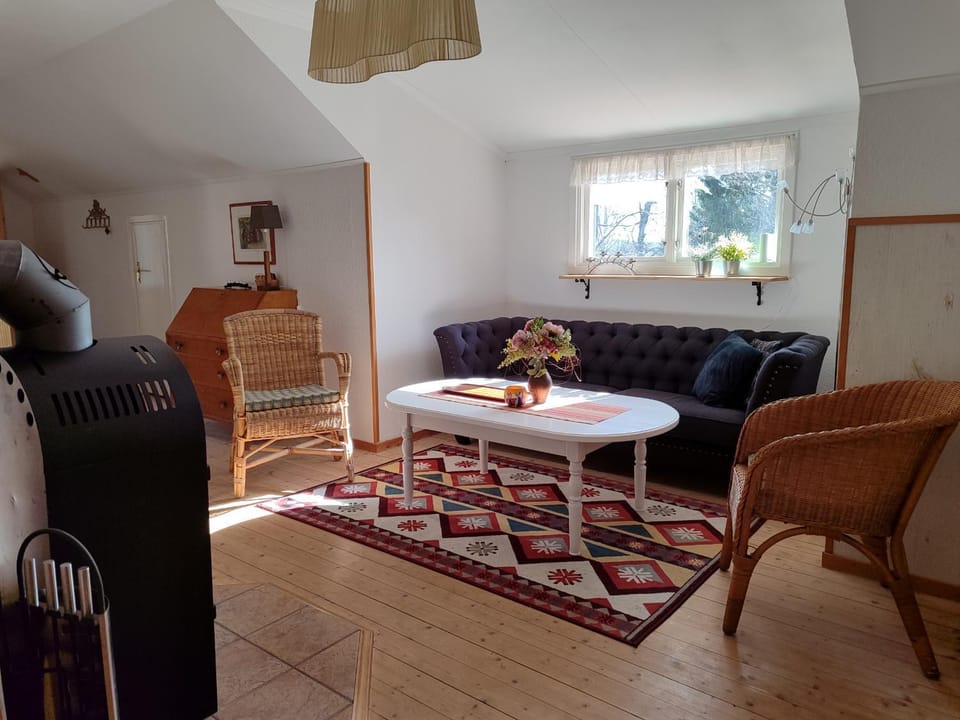 Viol Apartment in Sweden