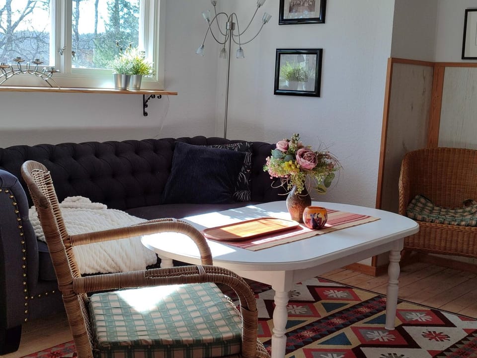 Viol Apartment in Sweden