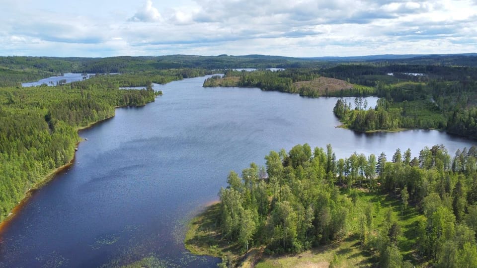 Natural landscape