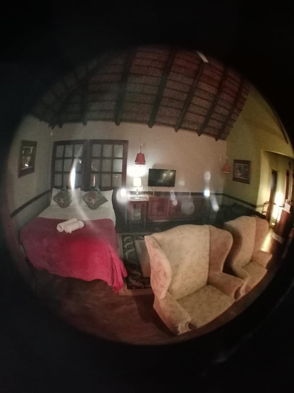 Bed