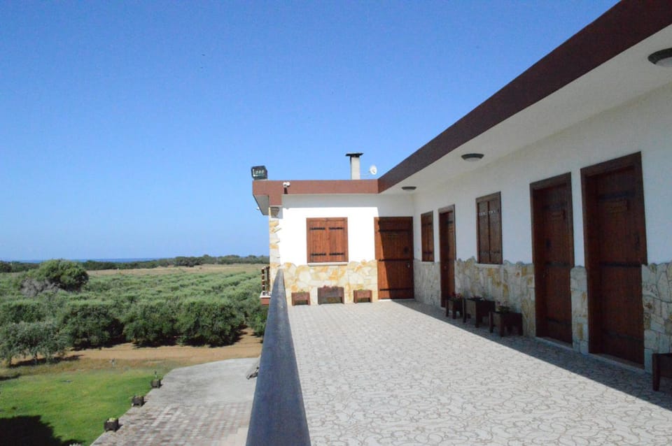 Balcony/Terrace, Balcony/Terrace