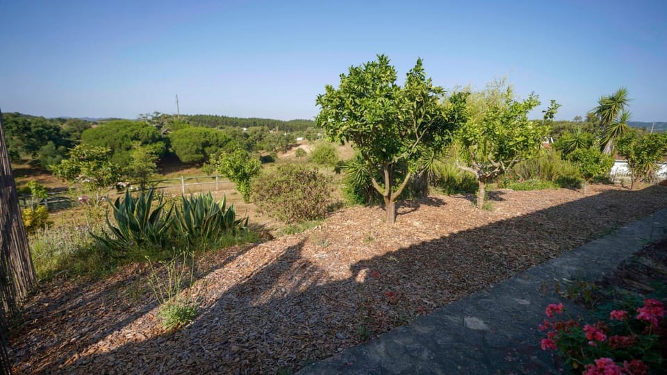 Monte dos Casarões Casa grande Villa in Portugal
