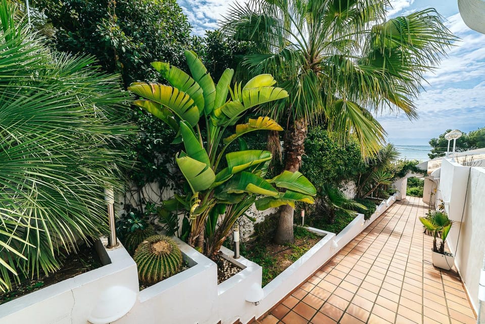 Garden, Garden view, Sea view