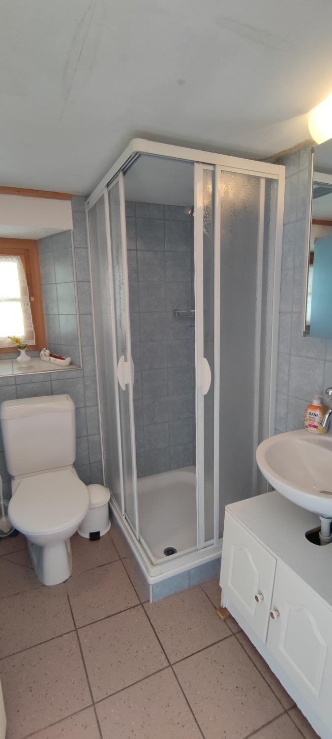 Shower, Toilet, Bathroom