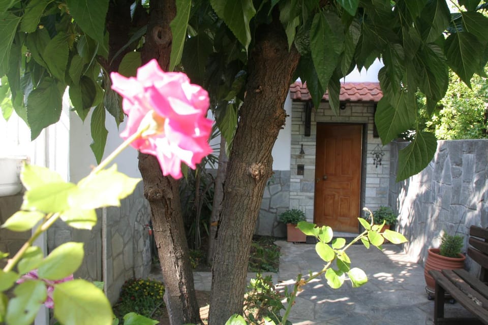 Facade/entrance, Garden