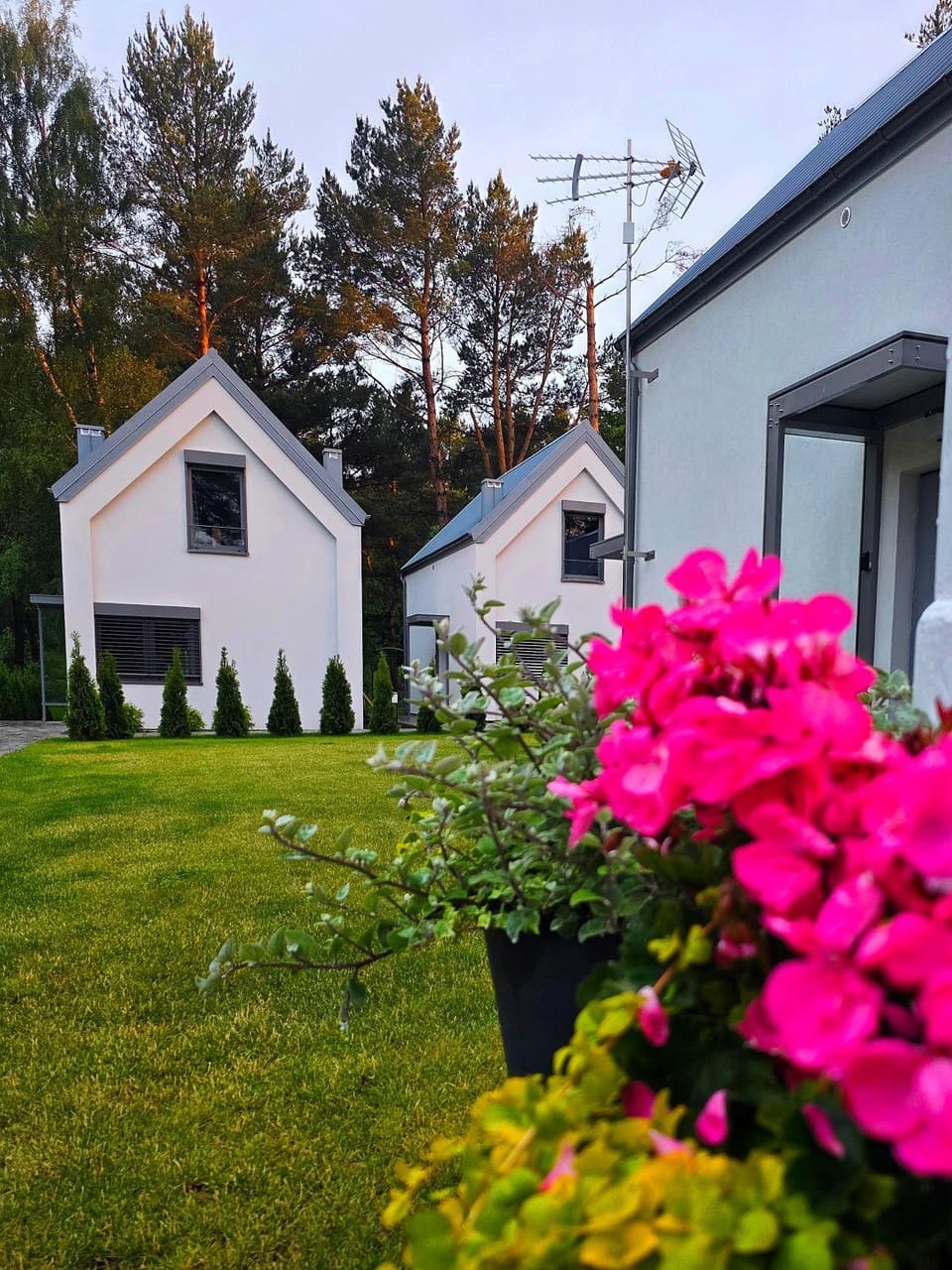 Property building, Day, Natural landscape, pet friendly