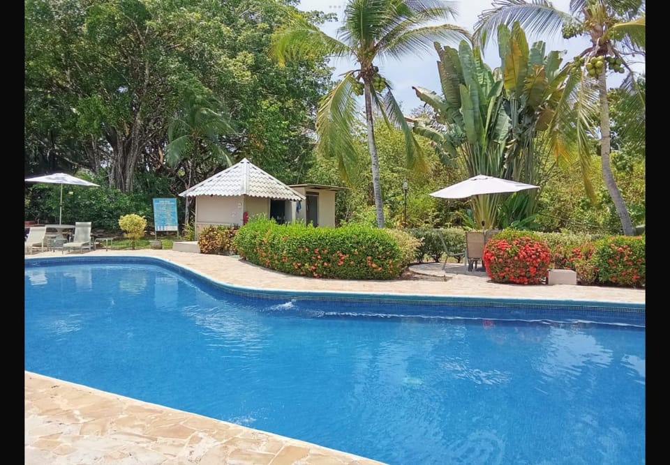 Pool view