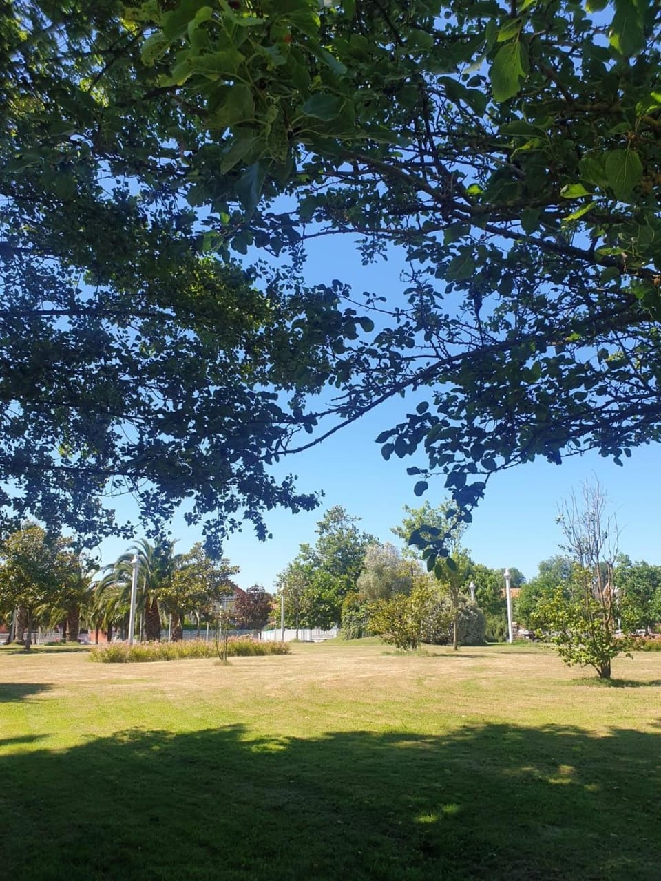 Salinas Beach Sol & Relax Apartment in Asturias