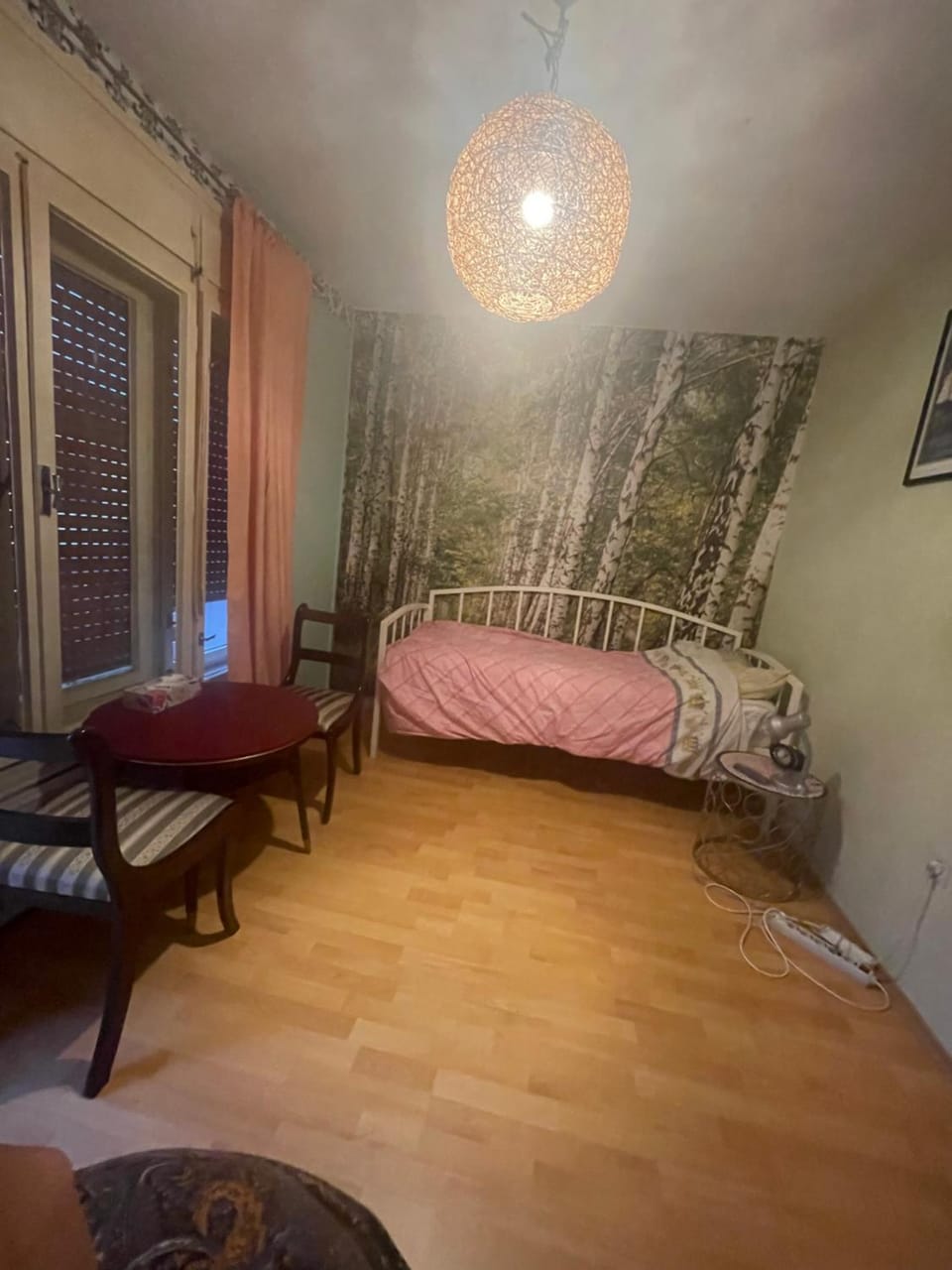 Soba s pogledom na Dravski Park u Varaždinu Vacation rental in Croatia