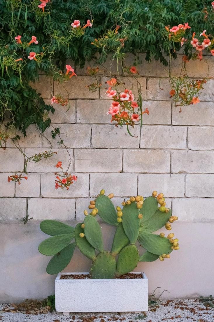Terra D'Otranto Bed and Breakfast in Apulia