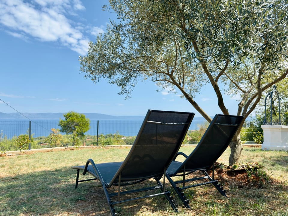Garden, Sea view
